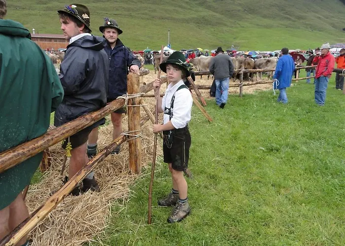 Almfrieden Balderschwang