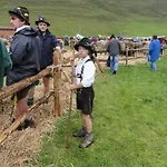 Almfrieden Balderschwang