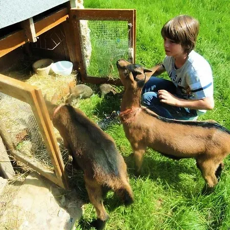 Almfrieden Farm stay *
