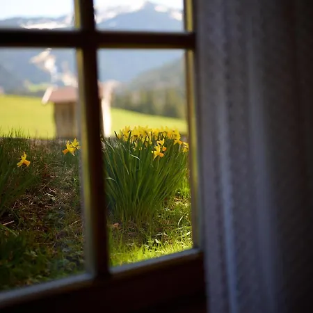 Almfrieden Balderschwang